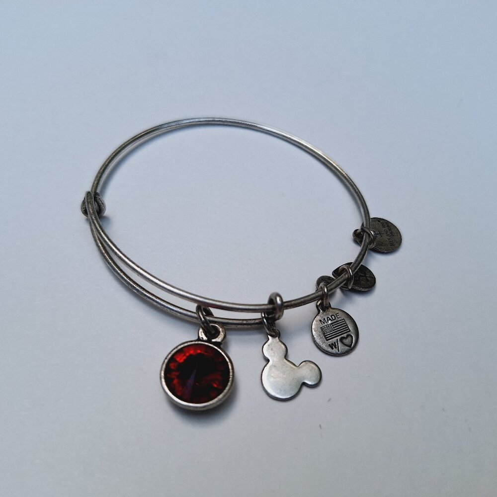 Alex and Ani - Disney January Birthstone Bracelet